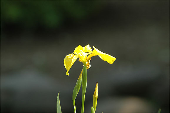 20130504_1307.JPG