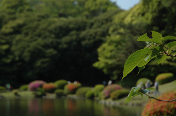 20130504_1314.JPG