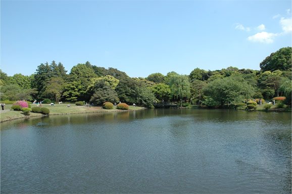 20130504_1331.JPG