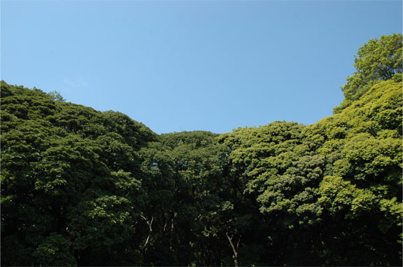 20130504_1332.JPG