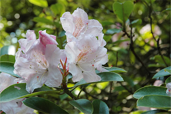 20130504_1343.JPG