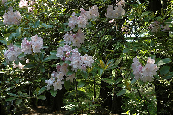 20130504_1345.JPG